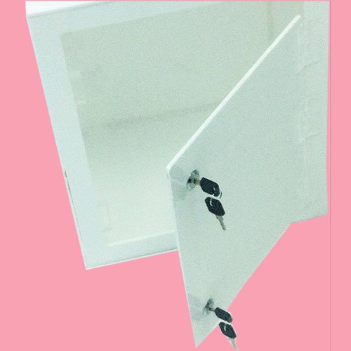 B77V投票箱 Ballot Box 4 B77V 投票箱 Ballot Box